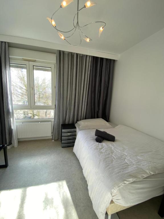Nancy Hyper Centre, Chambre Prive Chez L'Habitant En Colocation Zewnętrze zdjęcie